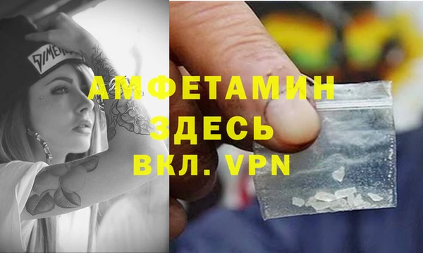 индика Дмитриев