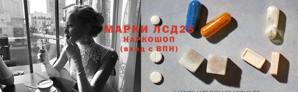 индика Дмитриев