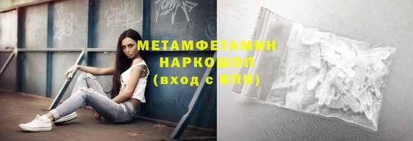 индика Дмитриев
