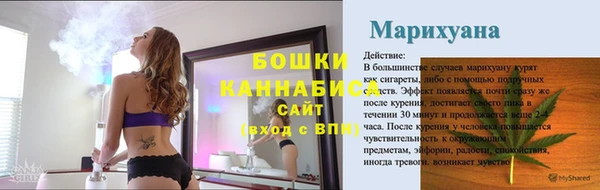 PSILOCYBIN Гусиноозёрск