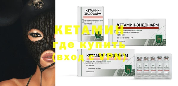 индика Дмитриев