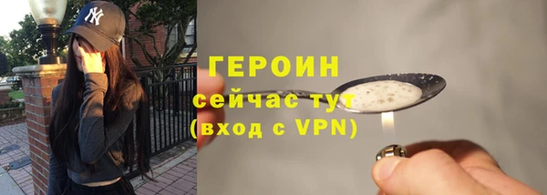 индика Дмитриев