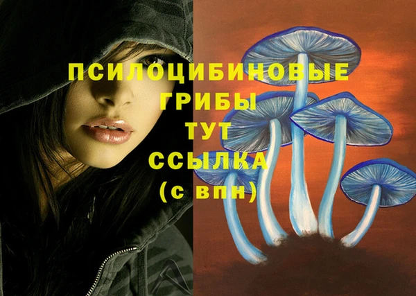 амф Гусь-Хрустальный