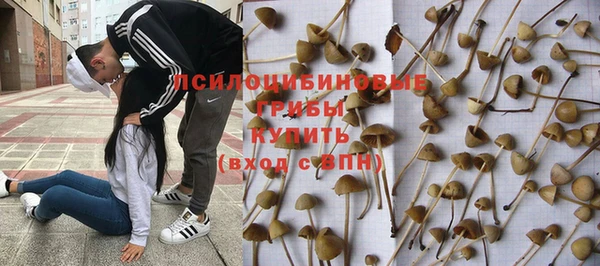 ALPHA-PVP Дмитровск