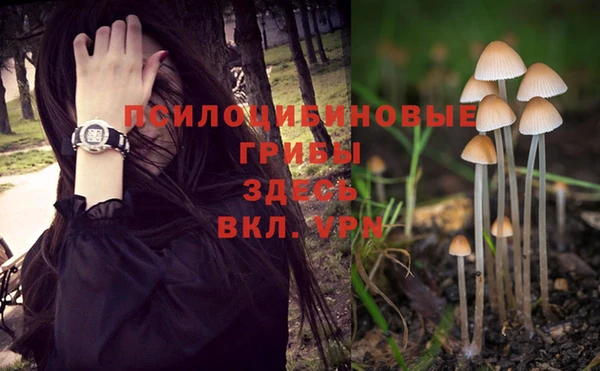 Альфа ПВП Дмитров