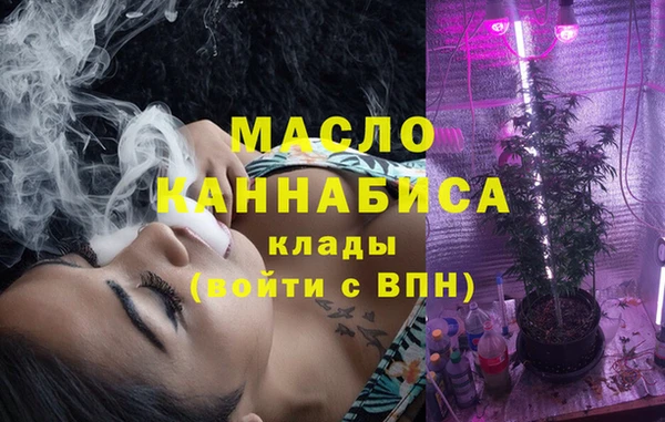 индика Дмитриев