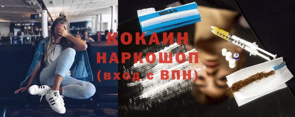 индика Дмитриев