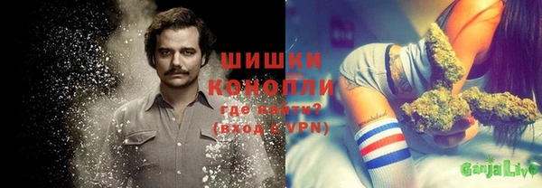 индика Дмитриев