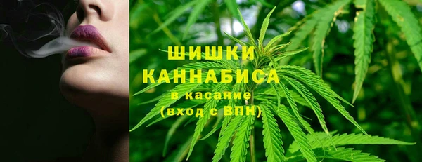 амф Гусь-Хрустальный