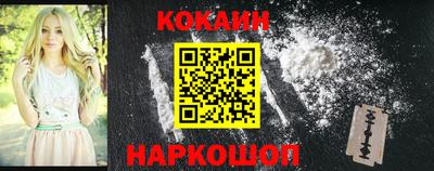 индика Гусев