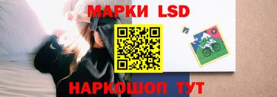индика Гусев