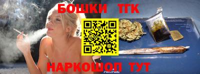 индика Гусев