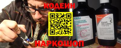 индика Гусев