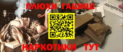 индика Гусев