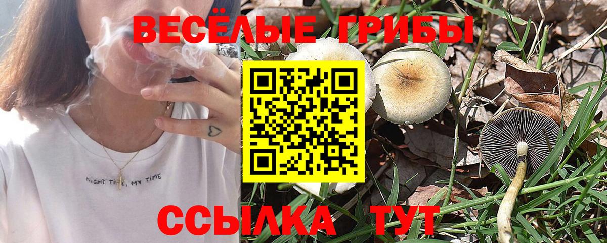 Псилоцибиновые грибы ЛСД Москва
