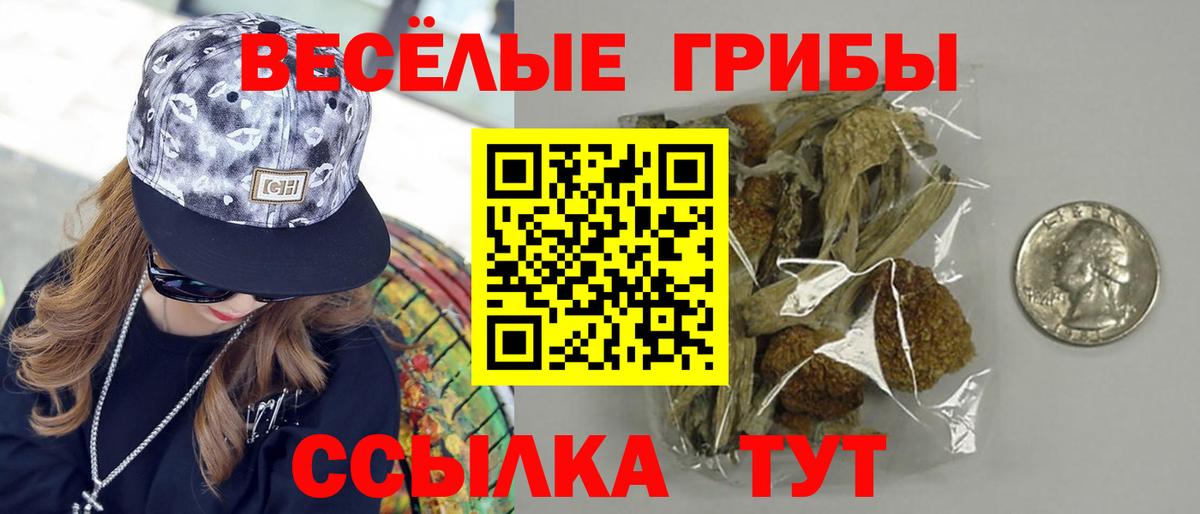 Галлюциногенные грибы MAGIC MUSHROOMS  Вход с VPN  Галлюциногенные грибы Magic Shrooms  Москва 